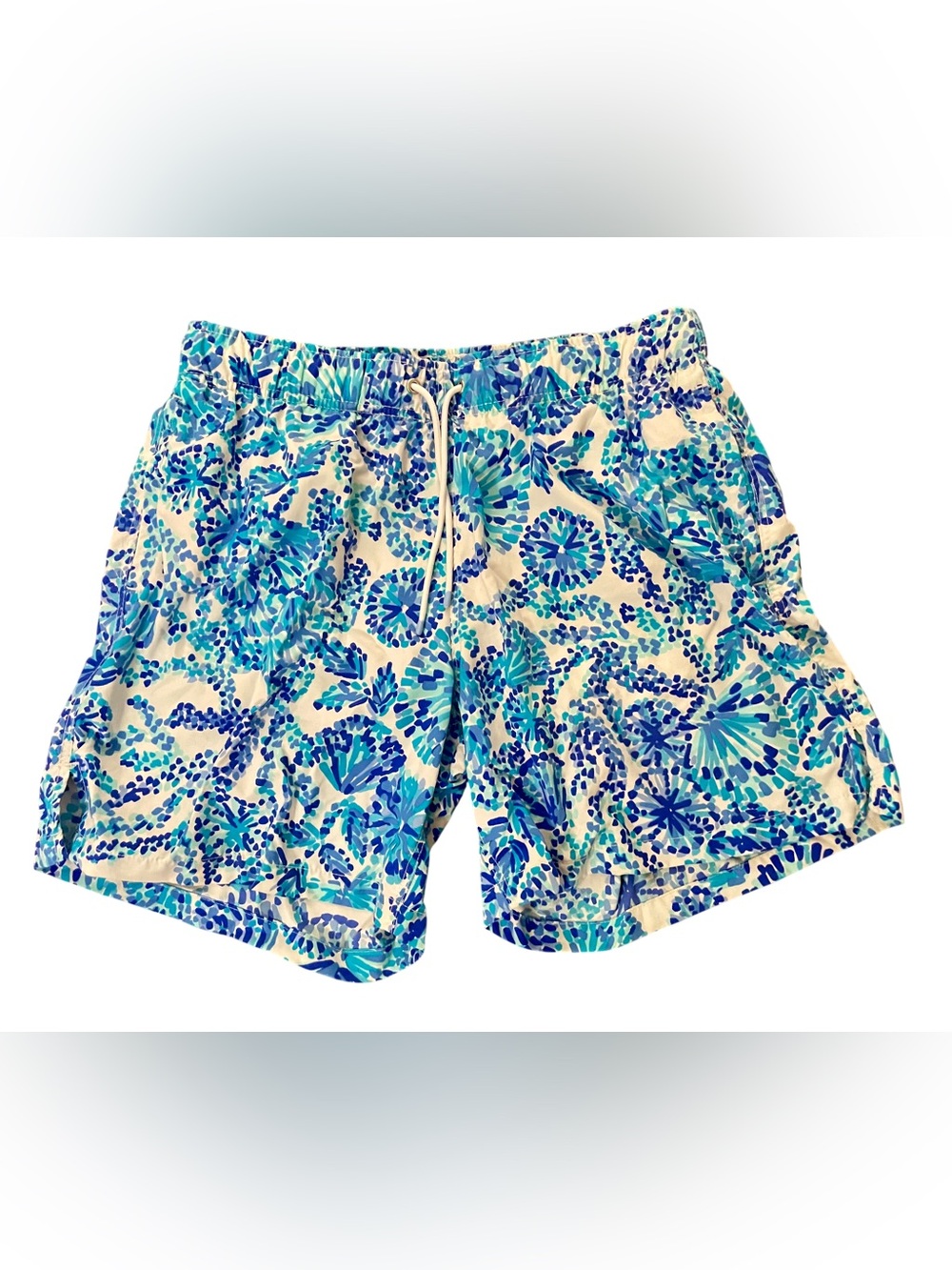 Lilly Pulitzer Swim Trunks Shorts Men’s Small Beach Preppy Lined Resortwear